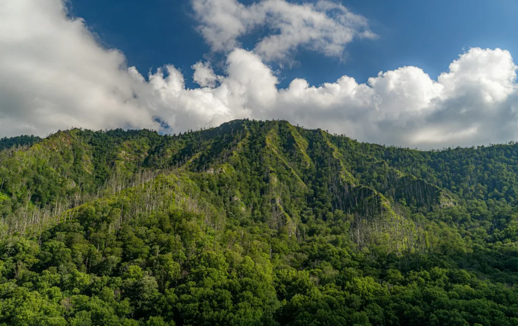 Great Smoky Mountains National Park, Gatlinburg, United States
