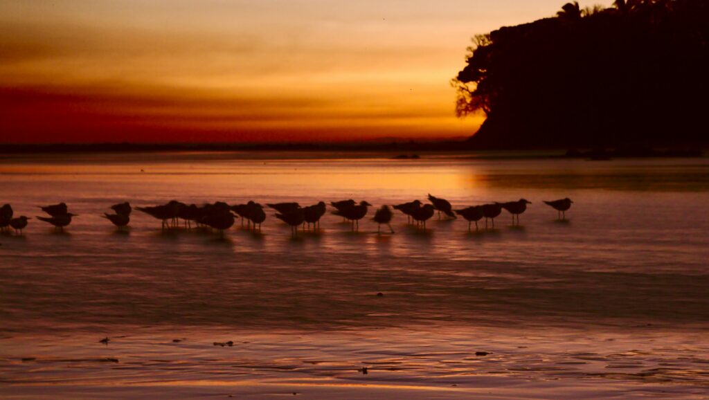 Santa Catalina, Panama