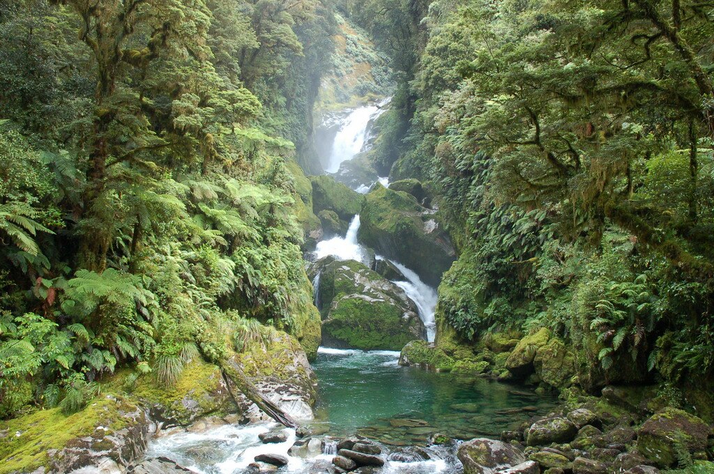 Waterfall on Milford Track, New Zealand