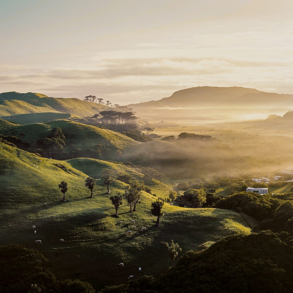 Wharariki Beach, Puponga, New Zealand