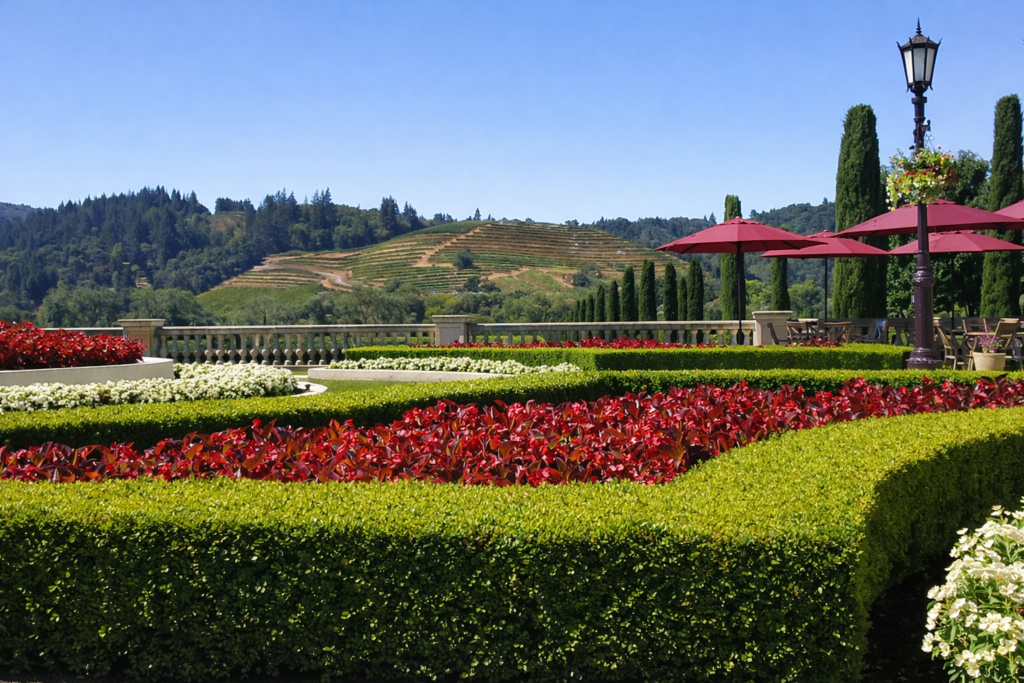 scenery-santa-rosa-california