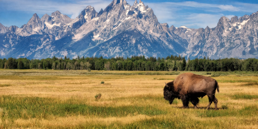 Grand Teton National Park, Wyoming